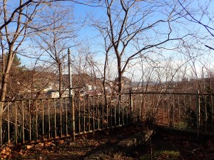 追直漁港が見える