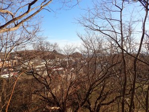 太平洋がよく見える