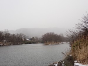 雪が降ってきた