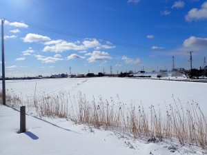 案山子はいない