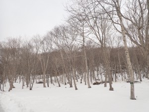 根明けはまだか