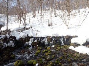羊蹄山の伏流水