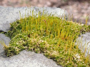 楽しかった さあ、帰ろう