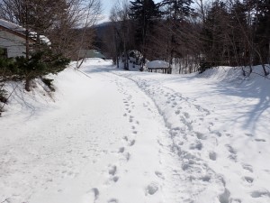 いい運動になった