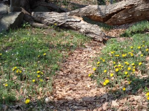 楽しい、うれしい