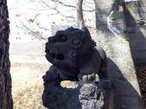 楽しかった