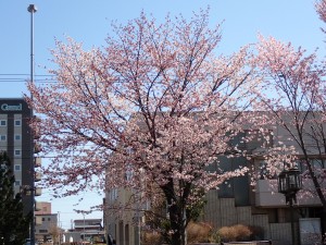 いいですね