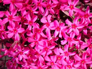わーっ