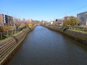 いいねえ