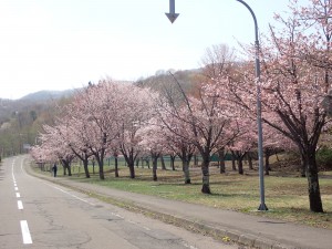 客がちらほら