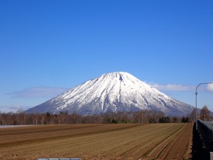 きれいな形