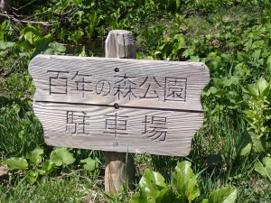 広かった