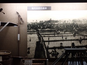 昔の田圃