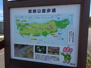 先客はなし