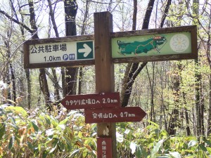 人はいない 花はいっぱい