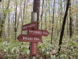 後客の女性が2人。