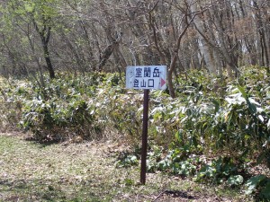 登山者数人