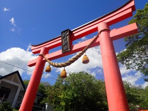 大きい