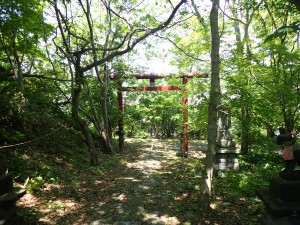 暑い暑い
