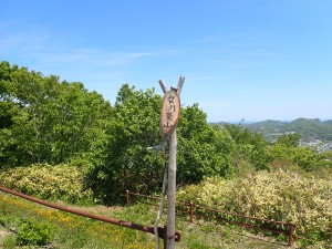 久しぶり