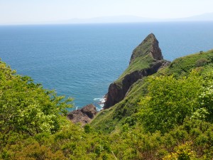 夏だ