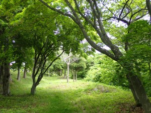 明るい