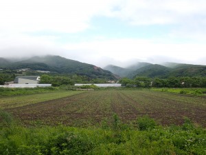 いいねえ