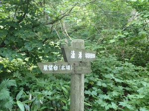 ゆっくり登る