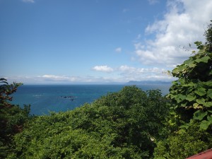登って良かった