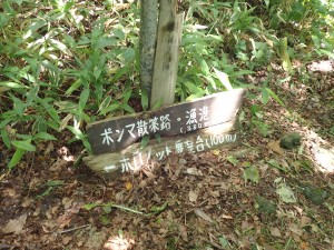 楽しい