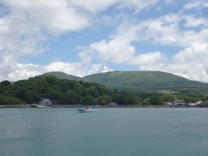 きれい