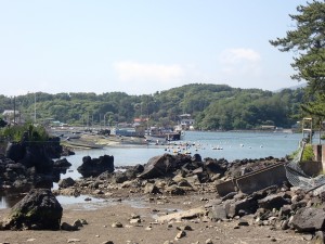 のどかだ