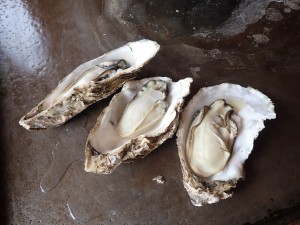 また食べたい