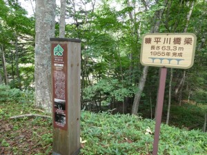 人もちらほら