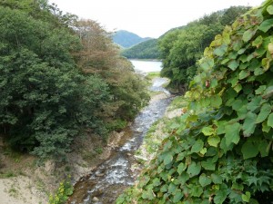 糠平湖が見える