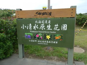 まあまあの人の入り