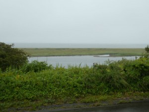 小雨の海