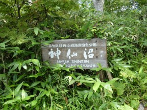 霧雨