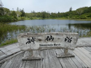 人がちらほら