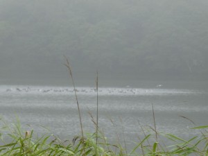 遠かった