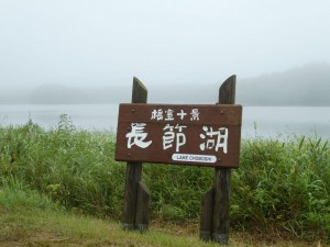 今日も雨