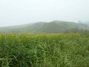 いい景色