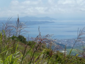 小さく大黒島
