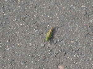 気を付けて