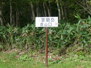 人がちらほら