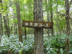 初めての道