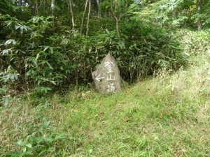 楽しい