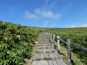 坂を登る