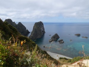 きれいな海