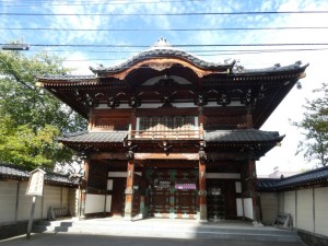 大きい